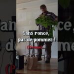 Sans ronce, pas de pommes !  #permaculture #agriculture