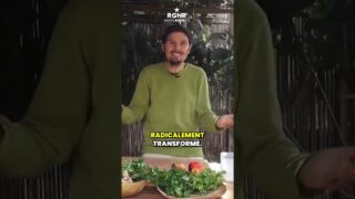 Trois semaines à consommer des jus de légumes : une révolution !