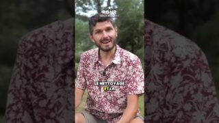 Apprendre à diriger son énergie vitale vers le nettoyage et la régénération de notre organisme