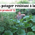 Avoir un potager résistant à la chaleur !