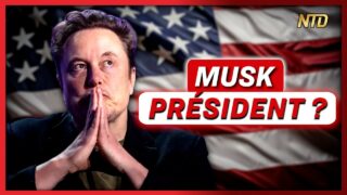 Comment le parti de Musk met son empire en jeu.