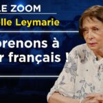 Déclin d’une langue, déclin d’une civilisation –  Le Zoom – Isabelle Leymarie – TVL