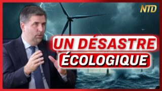 Éoliennes : « Derrière ce symbole de l’écologie, c’est un désastre écologique. » Fabien Bouglé