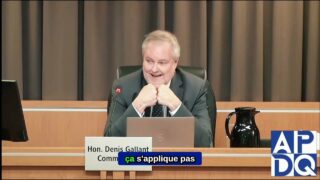 ⚖️ Gallant promet l’équité pour TOUS les témoins!