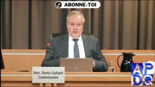 💥 Gallant tranche : le SFPQ entre officiellement dans la danse !