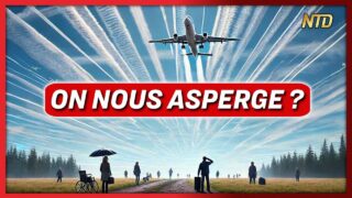 La Floride interdit la géoingénierie, 34 États prêts à suivre