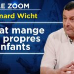 La guerre sans Etats ? Mercenaires, gangs et auto-défense – Le Zoom – Bernard Wicht – TVL