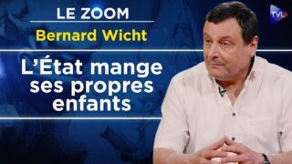 La guerre sans Etats ? Mercenaires, gangs et auto-défense – Le Zoom – Bernard Wicht – TVL