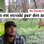 Le jardin se transforme en réserve animalière !