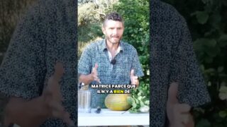 Les jus de légumes sont le commencement !