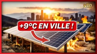 Les panneaux solaires réchauffent la planète selon plusieurs études. Explications.