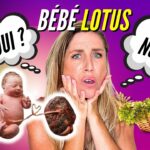 Les Vérités Cachées Sur Le Placenta Lotus 🚫