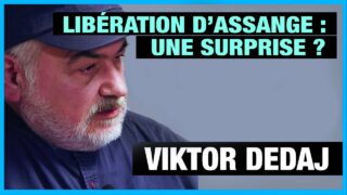 Libération d’Assange : au-delà de la surprise – Viktor Dedaj