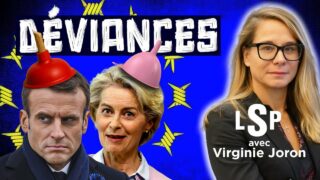 Macron – UE : Corruption, chantage, censure et après ? – Virginie Joron dans Le Samedi Politique