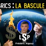 Occident VS BRICS : vers un autre ordre mondial ? – Frédéric Aigouy dans Le Samedi Politique
