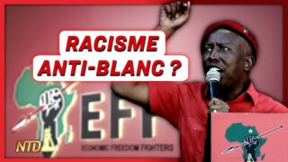 Que cachent les meurtres de fermiers blancs en Afrique du Sud ?