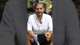 Quel est le meilleur régime alimentaire ?