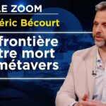 Thanatose, une vie suspendue entre réel et métavers – Le Zoom – Frédéric Bécourt – TVL
