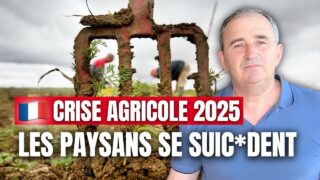 Travailler 7j/7 pour 1000 €/mois : Philippe Grégoire raconte le quotidien des agriculteurs en France