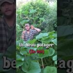 Un beau potager en été #potager #permaculture