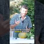 Un jus fait trembler la matrice !