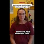 Agriculture : le pouvoir magique de la syntropie ! 🌱✨