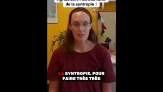 Agriculture : le pouvoir magique de la syntropie ! 🌱✨