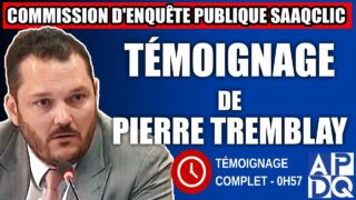 Commission d’enquête SAAQclic : Témoignage de Pierre Tremblay