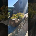 Étape 11 Polminhac – Aurillac – Laborie #ViaArverna