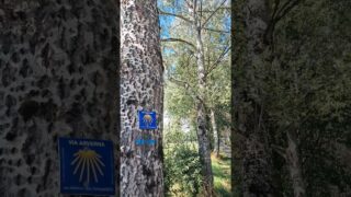 Étape 11 Polminhac – Aurillac – Laborie #ViaArverna