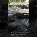 Étape 12 de l’inspiration – Laborie – Laroquebrou – Au milieu du GR652 #ViaArverna Remix Sinsemilia
