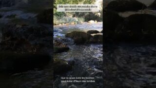 Étape 12 de l’inspiration – Laborie – Laroquebrou – Au milieu du GR652 #ViaArverna Remix Sinsemilia