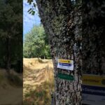 Étape 12 Laborie – Laroquebrou – je sais pas encore #viaarverna