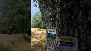 Étape 12 Laborie – Laroquebrou – je sais pas encore #viaarverna