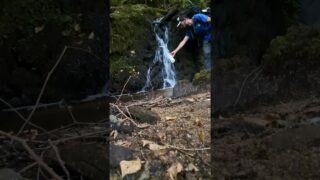 Étape 13 – Laborie – Laroquebrou – Camps-Saint-Mathurin #ViaArverna