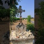 Étape 20 – Cahors – Labastide-Marnhac – Lascabanes #gr65 #viapodiensis
