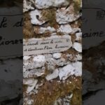 Étape 21 – Encore une journée pleine de citations qui s’annoncel#gr65 #viapodiensis #compostelle