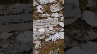 Étape 21 – Encore une journée pleine de citations qui s’annoncel#gr65 #viapodiensis #compostelle