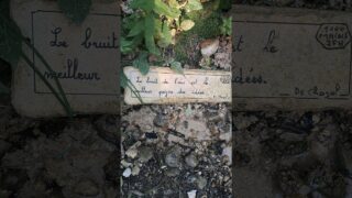 Étape 21 – Le bruit de l’eau #gr65 #viapodiensis #compostelle