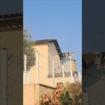 Étape 24 Auvillar – Flamarens – Miradoux Nos amis les oiseaux🕊#gr65 #viapodiensis