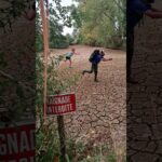 Étape 25 – Miradoux – Castet Arrouy – Lectoure – Les pieds dans l’eau #gr65 #viapodiensis
