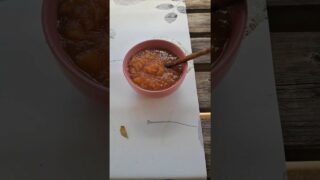 Étape 31- Lanne Soubiran – Miramont sensacq – Compote pomme/figue du chemin 👨‍🍳🍏 #gr65 #viapodiensis