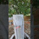 Étape 35 – Maslacq – Navarrenx #gr65 #viapodiensis