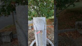 Étape 35 – Maslacq – Navarrenx #gr65 #viapodiensis