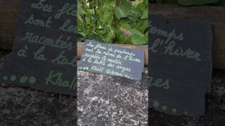 Étape 9 – Laveissiere – Saint-Jacques Des Blas #ViaArverna
