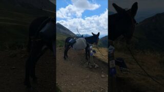 Fin de l’étape 9 – Laveissiere – Saint-Jacques Des Blas #ViaArverna