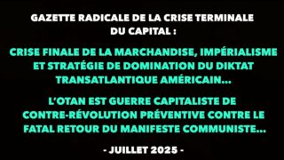 Francis Cousin : Gazette radicale de la crise terminale du Capital – Juillet 2025