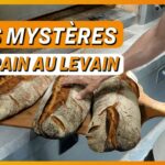 Le levain : les bienfaits oubliés d’un trésor millénaire