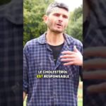 Le mythe du cholestérol