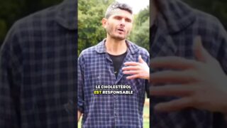 Le mythe du cholestérol